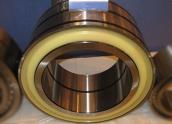 1022 Cylindrical Roller Bearing